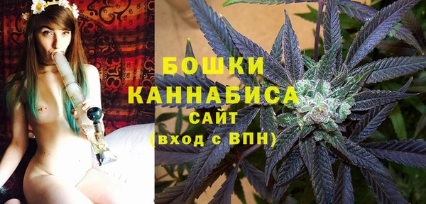 ПСИЛОЦИБИНОВЫЕ ГРИБЫ Баксан