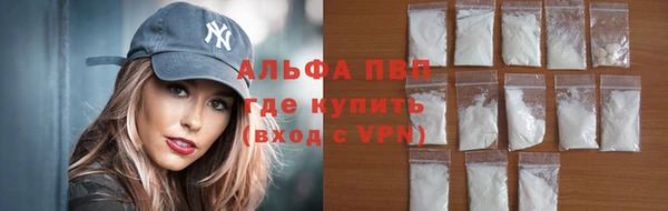 стаф Аша