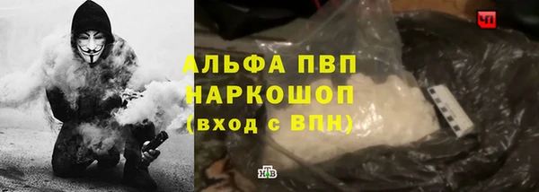 ПСИЛОЦИБИНОВЫЕ ГРИБЫ Баксан