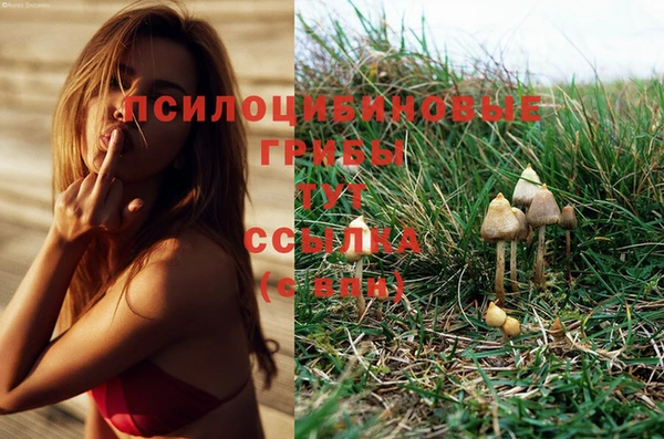 MESCALINE Балабаново