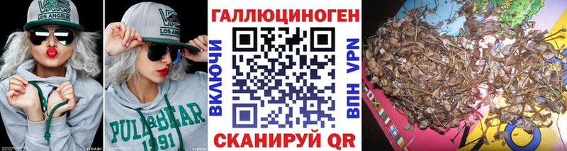 закладка  Костомукша  KRAKEN ссылка  Псилоцибиновые грибы Psilocybe 
